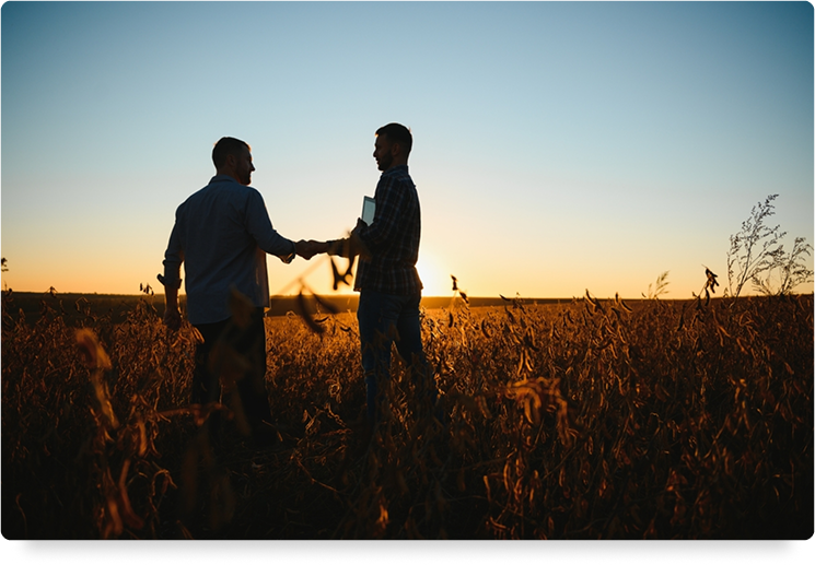 shutterstock_2312725437